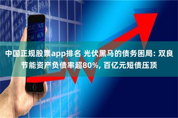 中国正规股票app排名 光伏黑马的债务困局: 双良节能资产负债率超80%, 百亿元短债压顶