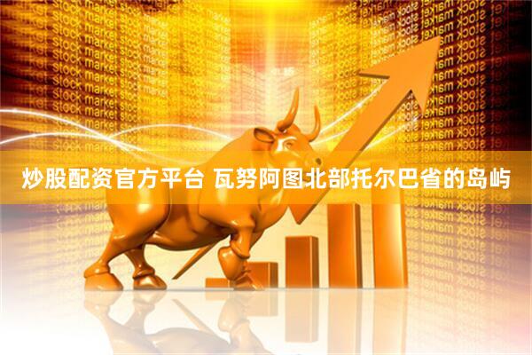 炒股配资官方平台 瓦努阿图北部托尔巴省的岛屿