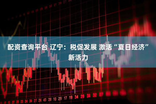 配资查询平台 辽宁：税促发展 激活“夏日经济”新活力
