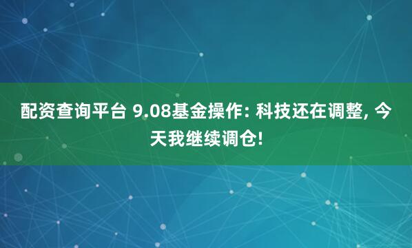 配资查询平台 9.08基金操作: 科技还在调整, 今天我继续调仓!