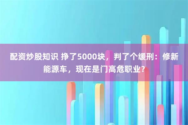 配资炒股知识 挣了5000块，判了个缓刑：修新能源车，现在是门高危职业？