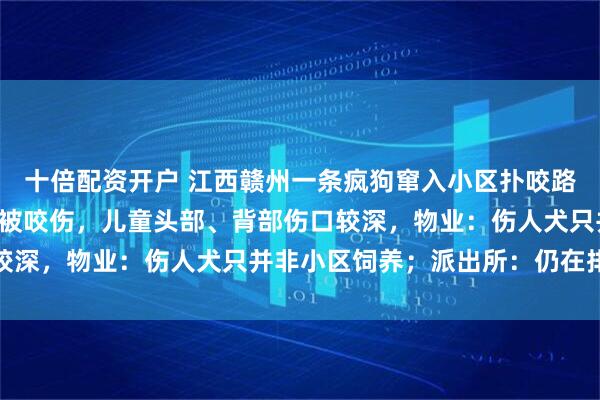 十倍配资开户 江西赣州一条疯狗窜入小区扑咬路人，一儿童与施工人员被咬伤，儿童头部、背部伤口较深，物业：伤人犬只并非小区饲养；派出所：仍在排查